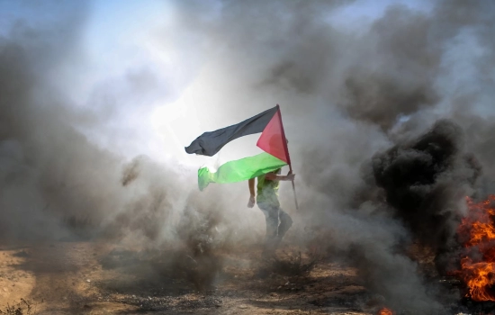 Research Insights: Israel – Gaza (Palestine) conflict﻿