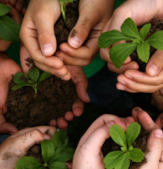 How having no will, or an invalid will, can cause unintended problems for your loved ones